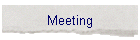 Meeting