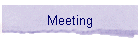 Meeting