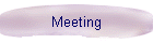 Meeting